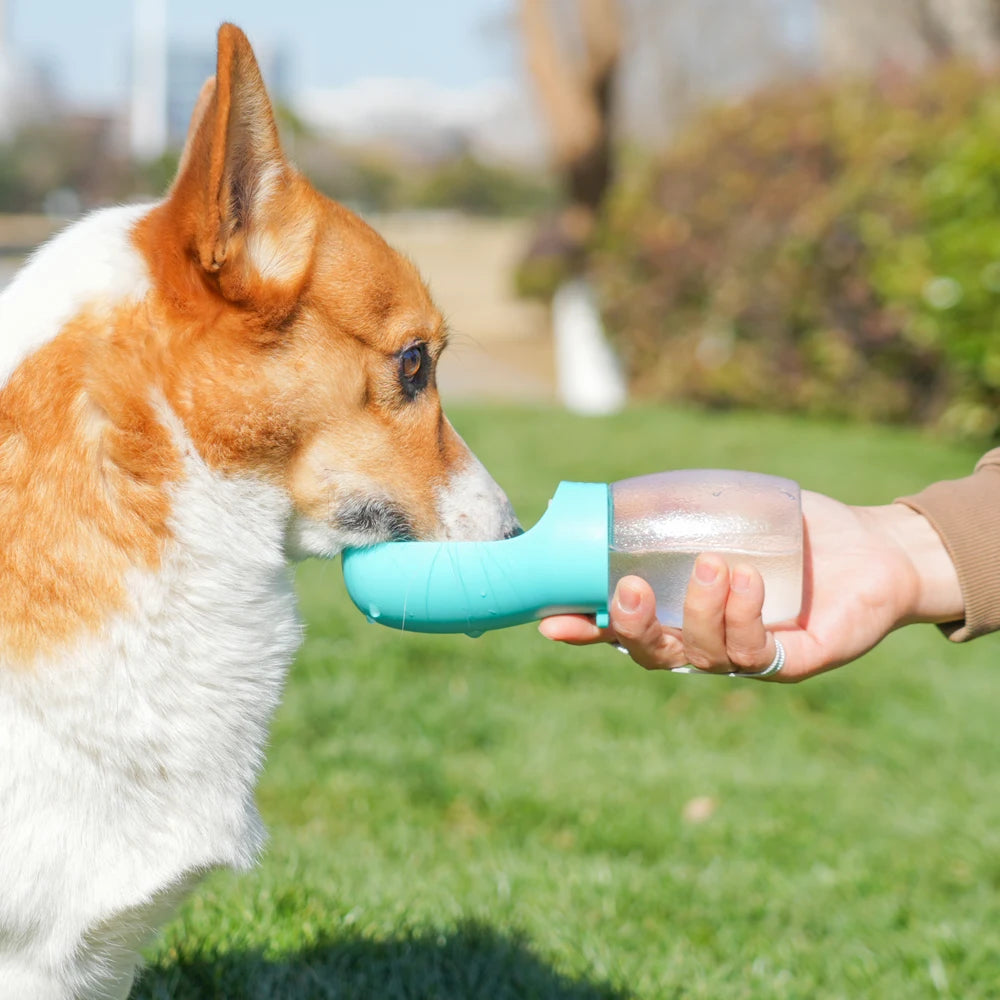 Vandflaske til hund og kat – 300 ml, lækagesikker og bærbar